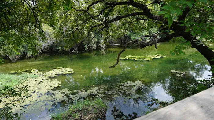 Lampasas Creekside Coach Park Picture 6