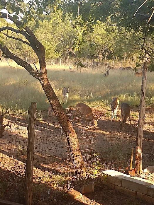 Boone RV Park Picture 6