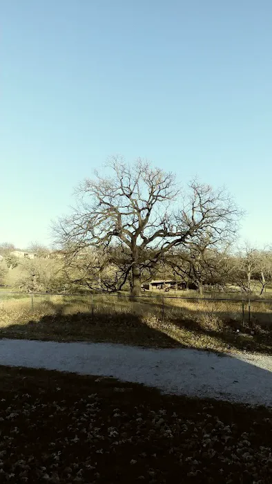 Boone RV Park Picture 4