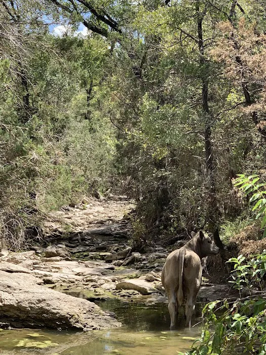 Alexander Creek RV and Campground Picture 8