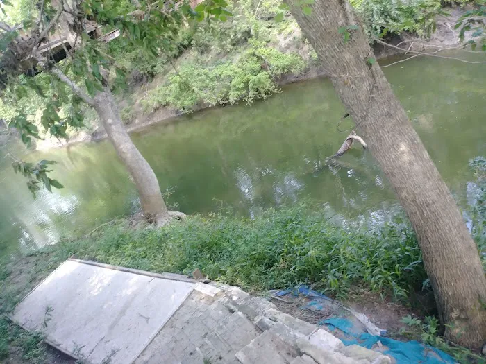 Brushy Creek RV Park Picture 6