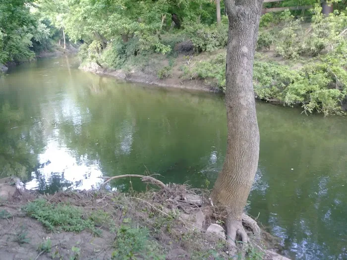 Brushy Creek RV Park Picture 7