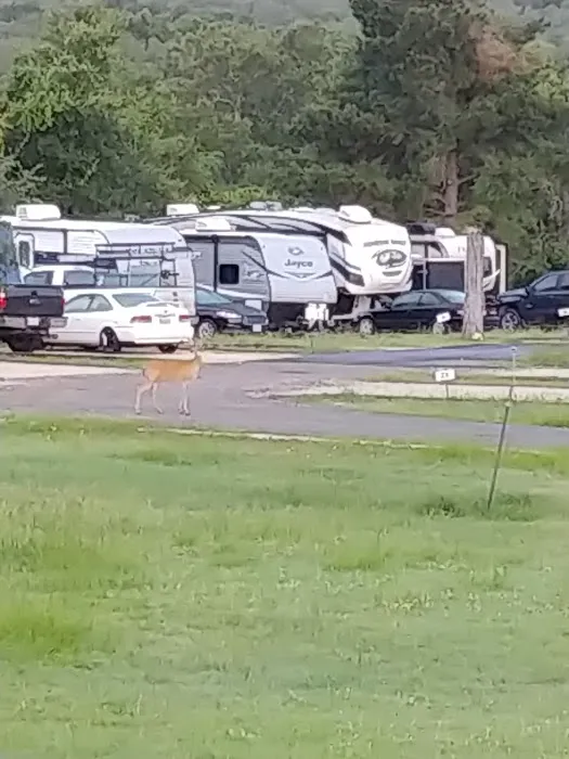 Pope Bend N Village RV Park LLC Picture 4