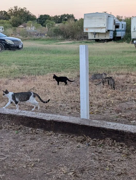 LCs RV Park Picture 3