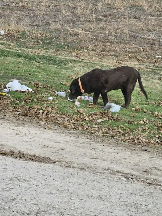 Camp Eagle RV Park Picture 5