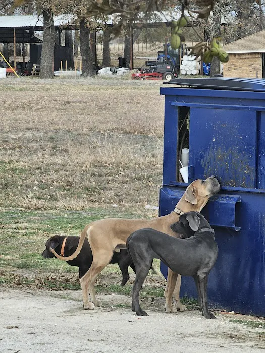 Camp Eagle RV Park Picture 3