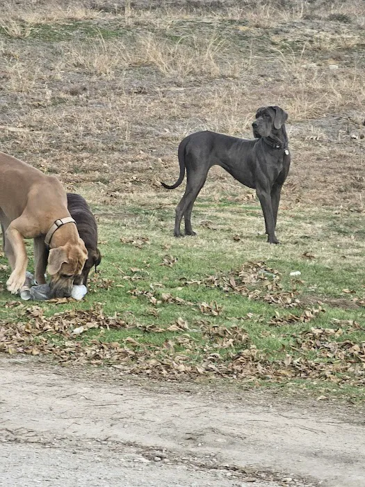 Camp Eagle RV Park Picture 7