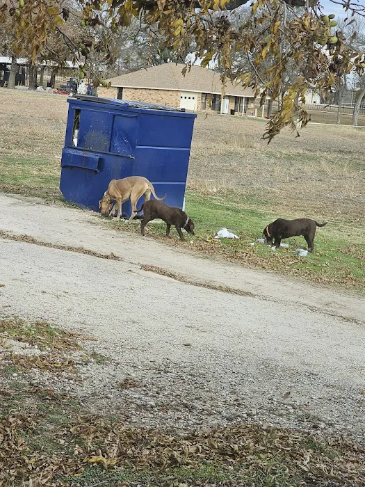 Camp Eagle RV Park Picture 10