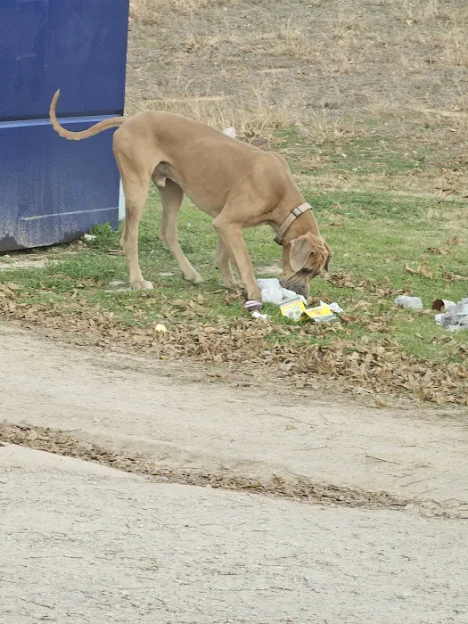 Camp Eagle RV Park Picture 6