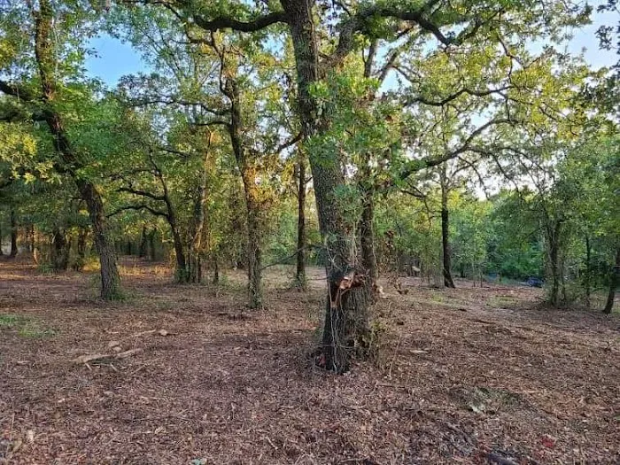 Dennis Acres Tiny Home Community Picture 6