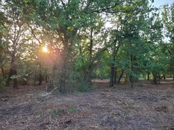 Dennis Acres Tiny Home Community Picture 7