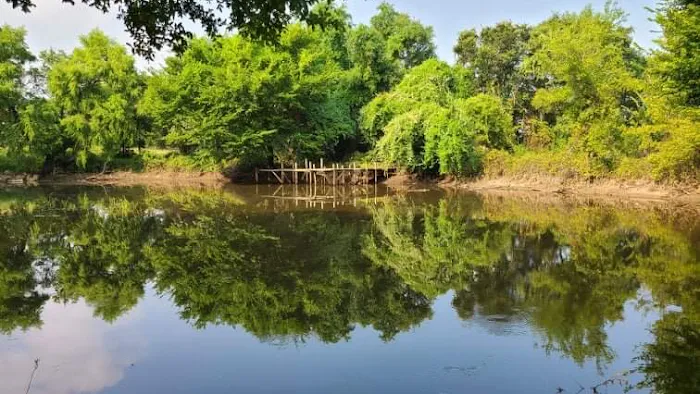 Dennis Acres Tiny Home Community Picture 10