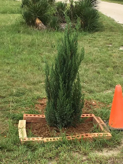 Ranger Land RV Park Picture 4