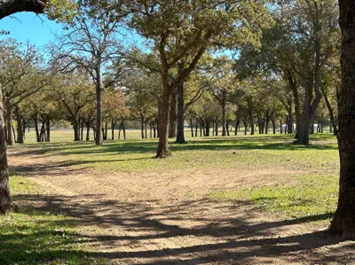 Legacy Longhorn Ranch and RV Resort Picture 1