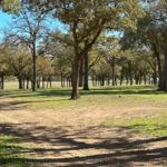 Legacy Longhorn Ranch and RV Resort