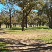 Legacy Longhorn Ranch and RV Resort ico