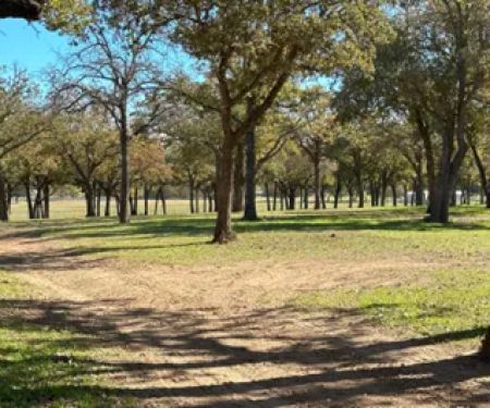 Legacy Longhorn Ranch and RV Resort