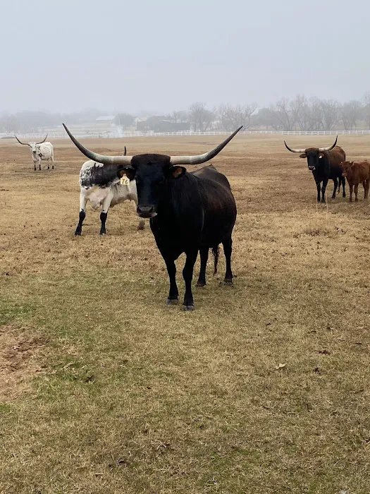 Legacy Longhorn Ranch and RV Resort Picture 4
