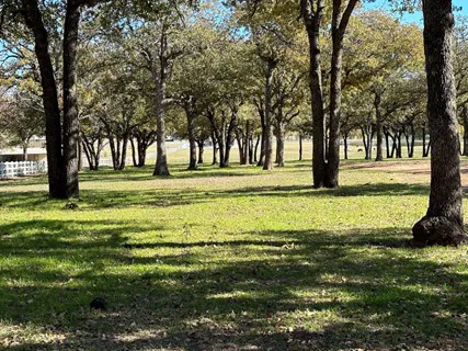 Legacy Longhorn Ranch and RV Resort Picture 3