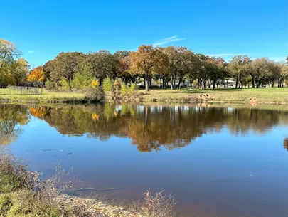 Legacy Longhorn Ranch and RV Resort Picture 2