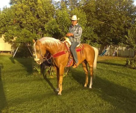 Midway Mobile Home & RV Park