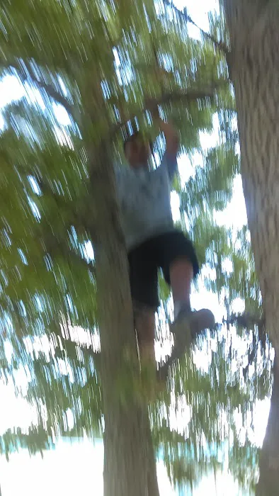 Midway Mobile Home & RV Park Picture 2