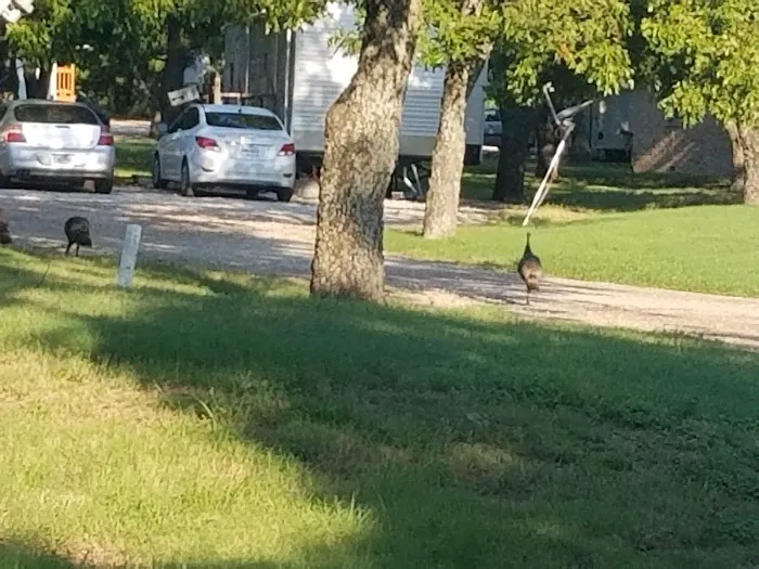 Pecan Acres RV Park Picture 7