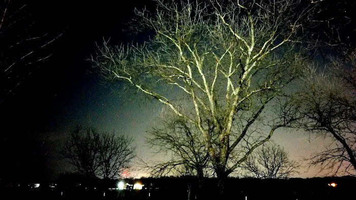 Pecan Acres RV Park Picture 8