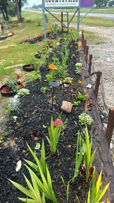 Tx Country side RV park Picture 3