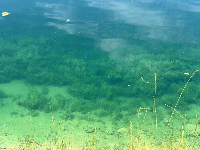 Tx Country side RV park Picture 1