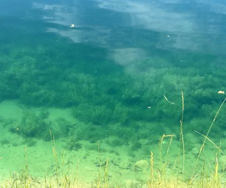 Tx Country side RV park