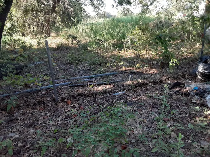 Azle RV Park West Picture 6