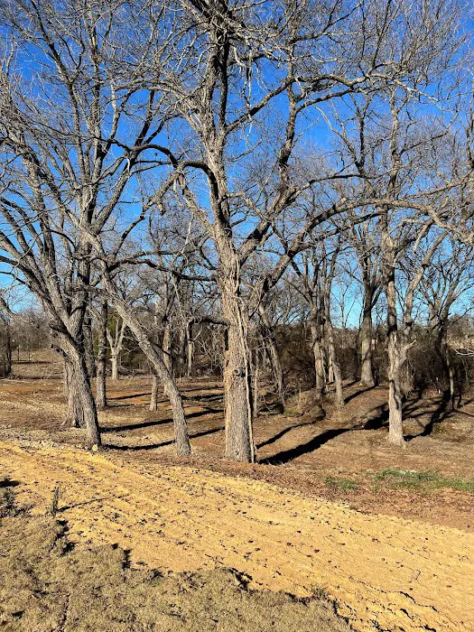 Pecan Hollow RV Park Picture 5