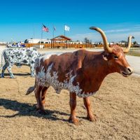 Ventura Luxury RV Community ico