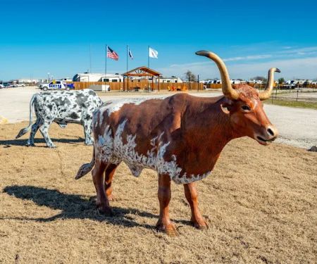 Ventura Luxury RV Community