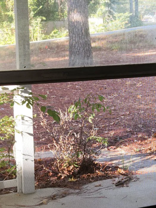 TB RV Park Picture 3