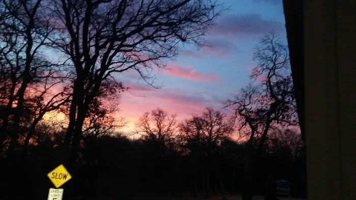 C&C Live Oak RV Park Picture 7