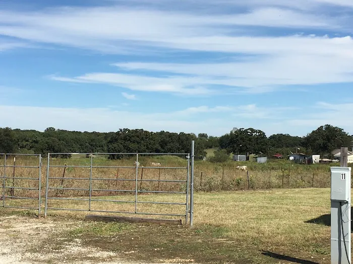 Texas Star RV Park of Azle Picture 3