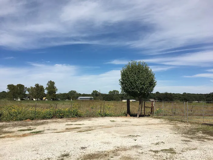 Texas Star RV Park of Azle Picture 7