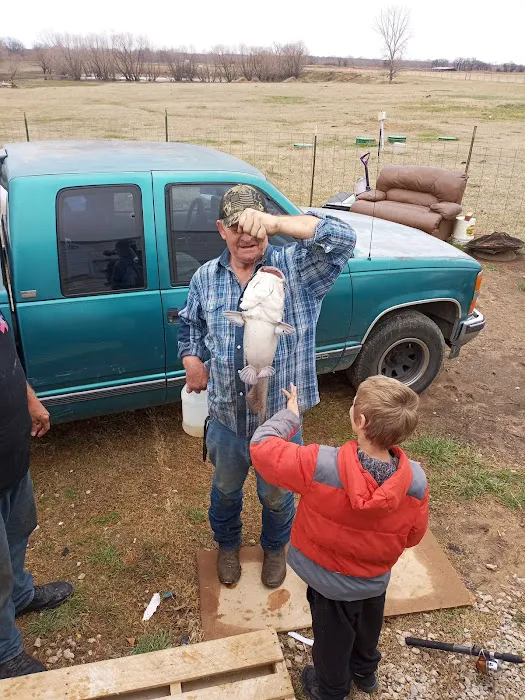 River Valley RV Park TX Picture 4