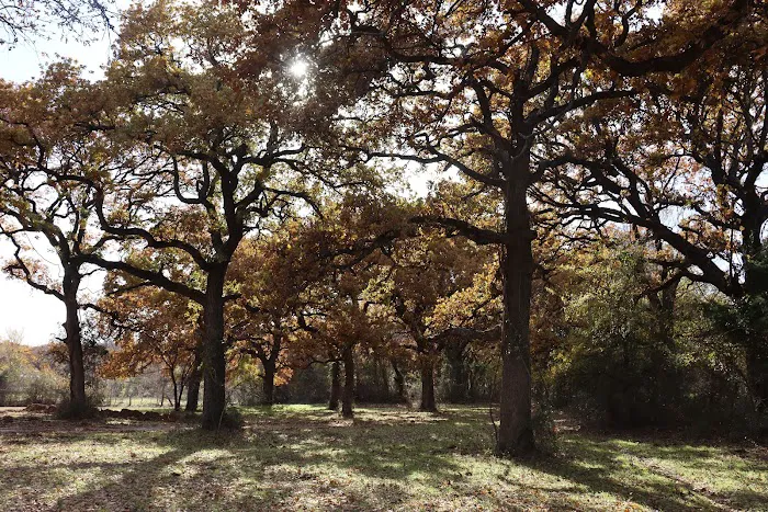 Briar Creek Cottages Picture 6