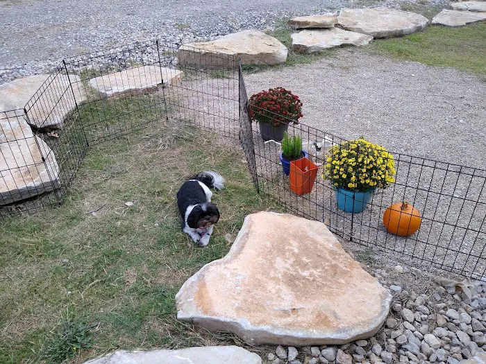 Tired Traveler RV Park Picture 8