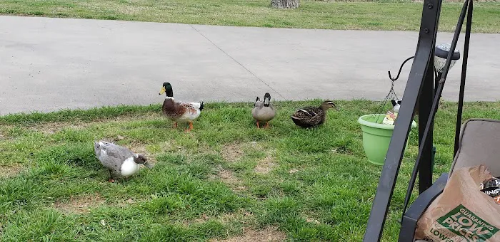 Oak Creek RV Park Picture 1