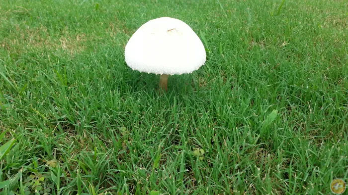 Oak Creek RV Park Picture 10