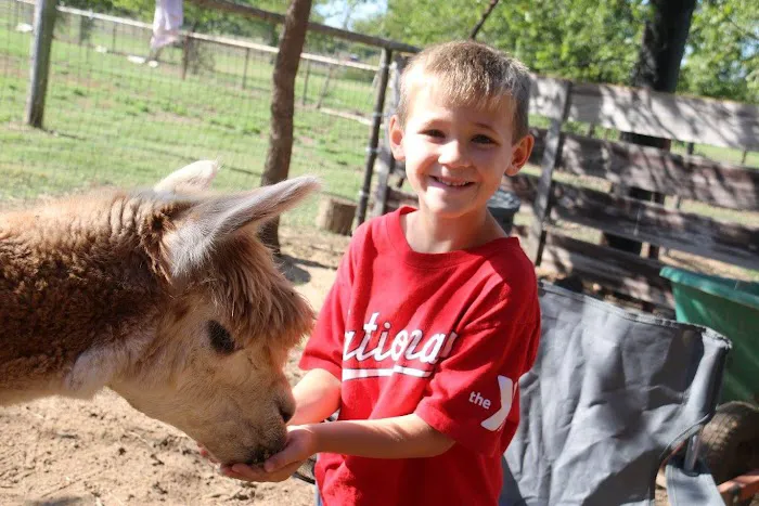 Wagon Master RV Park & Alpaca Farm Picture 1