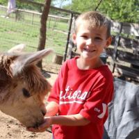 Wagon Master RV Park & Alpaca Farm ico