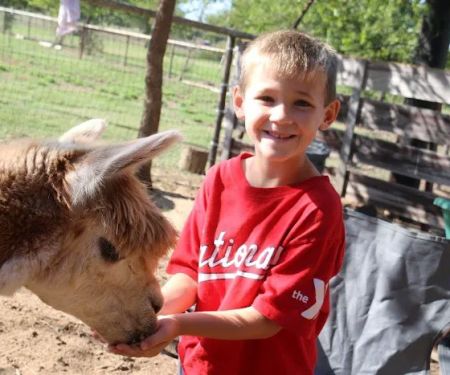 Wagon Master RV Park & Alpaca Farm