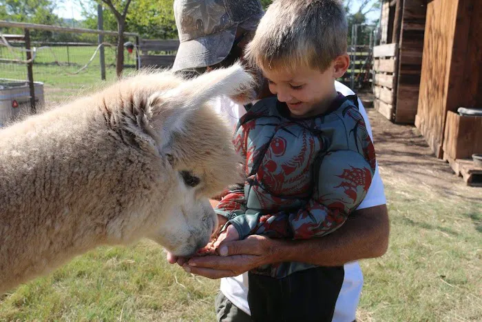 Wagon Master RV Park & Alpaca Farm Picture 4