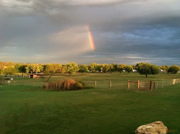 Wagon Master RV Park & Alpaca Farm Picture 6