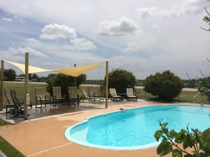 Wagon Master RV Park & Alpaca Farm Picture 7